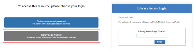 Screenshot of EZproxy login